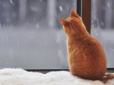 Готуймося до - до 18°С і ожеледиці: Синоптики уточнили прогноз погоди на найближчі дні