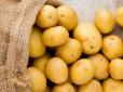 Що кухарі додають у воду, щоб покращити смак вареної картоплі