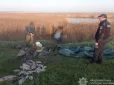 Рибалка на Одещині наловив 40 сазанів та карасів, а потім щось пішло не так (фото)