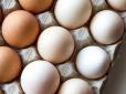 Варто знати! Як часто можна їсти яйця і які страви з них найкорисніші