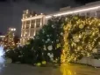 Москва була тільки початком: У Росії протягом кількох днів масово падають ялинки (фото)