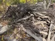 Дачникам на замітку! Чи можна забирати на дрова повалені біля дороги гілки у 2026 році