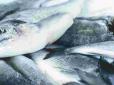 Є правила! Як швидко розморозити рибу - і не перетворити її на кашу