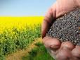 Польща будуватиме нові заводи, орієнтуючись на нашу сировину: Як аграрне лоббі Європи прагне змусити Україну експортувати насіння ріпаку, а не продукти переробки