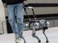 Поки світ захоплюється гуманоїдними роботами: У США створили роботизованих 